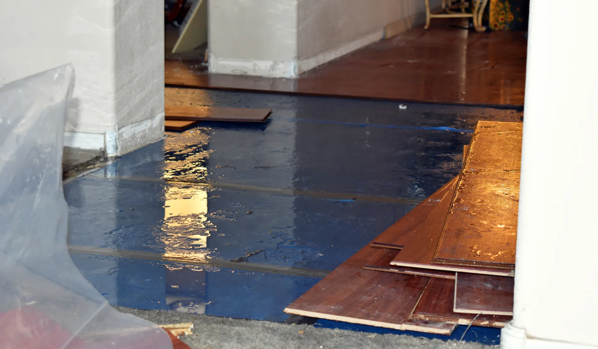 Water damage restoration marketing — emergency Google Ads, LSAs, and local SEO by LeadGulls